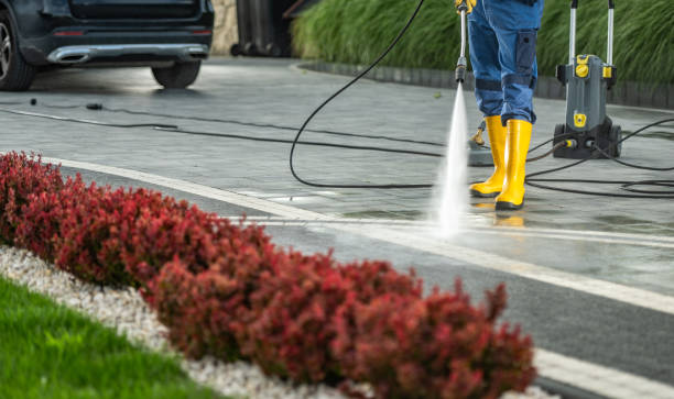 Best Sidewalk Pressure Washing  in Onalaska, TX