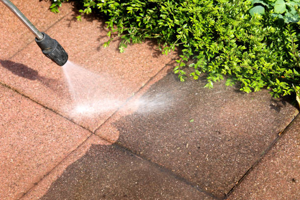 Best Pressure Washing Near Me  in Onalaska, TX